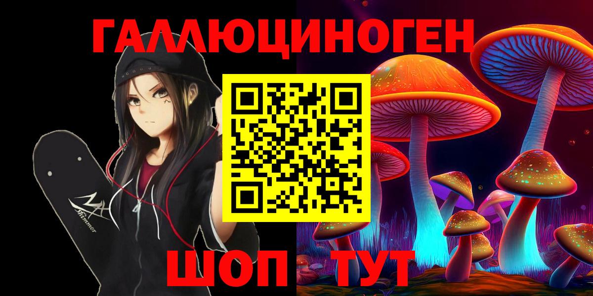 Богородск  Псилоцибиновые грибы Cubensis  Вход с VPN  Псилоцибиновые грибы Cubensis 